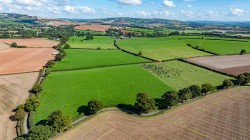 Images for Thorverton