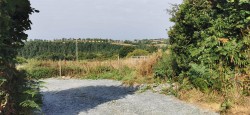 Images for 6.38 Acres - Bere Ferrers
