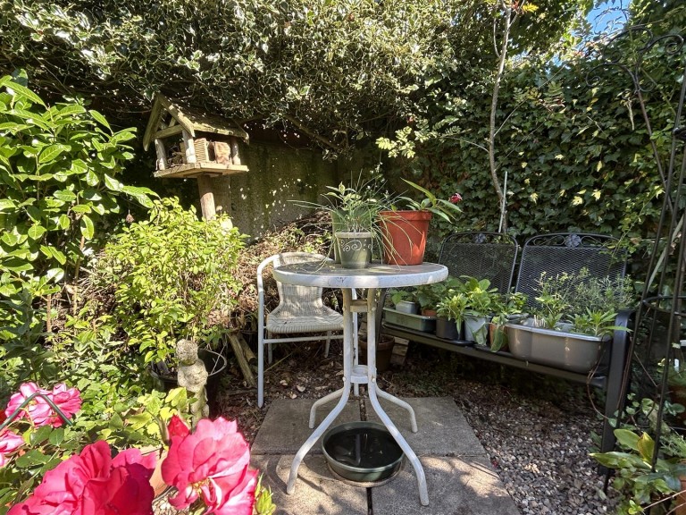 Images for South Molton