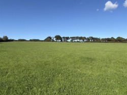 Images for Exbourne, Okehampton