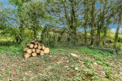 Images for Heathstock, Stockland, Honiton