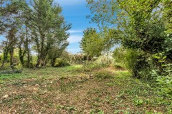 Images for Heathstock, Stockland, Honiton