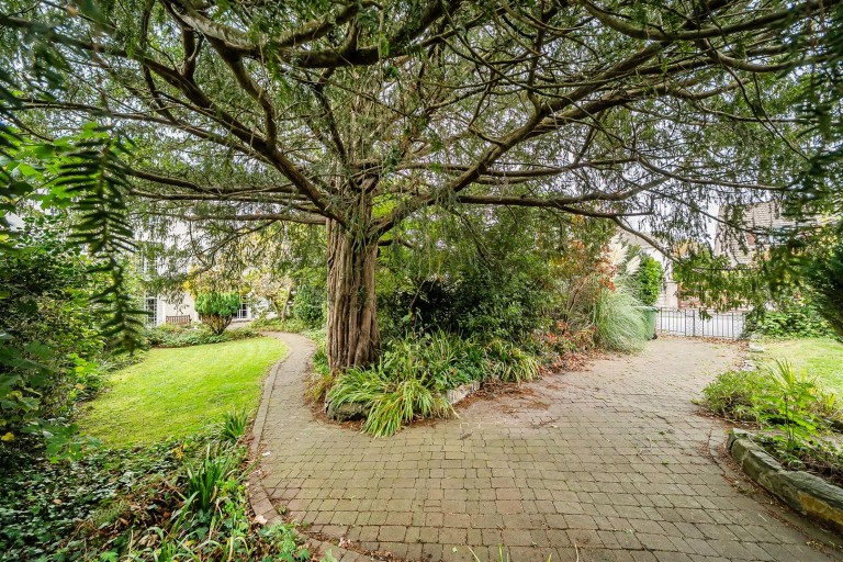 Images for Bellaire, Pilton, Barnstaple