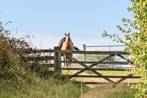 Click the photo for more details of Whiddon Down, Exeter