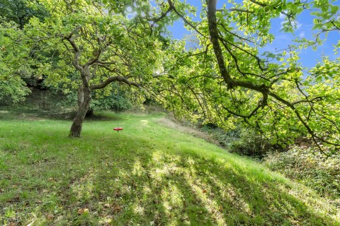 Click the photo for more details of Luppitt, Honiton