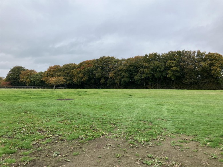 Click the photo for more details of Blackmoor, West Buckland, Wellington