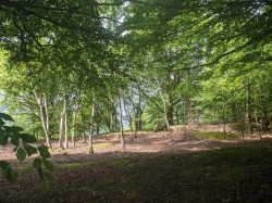 Images for Blackmoor, West Buckland, Wellington