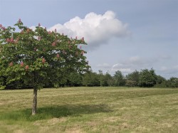 Images for Blackmoor, West Buckland, Wellington