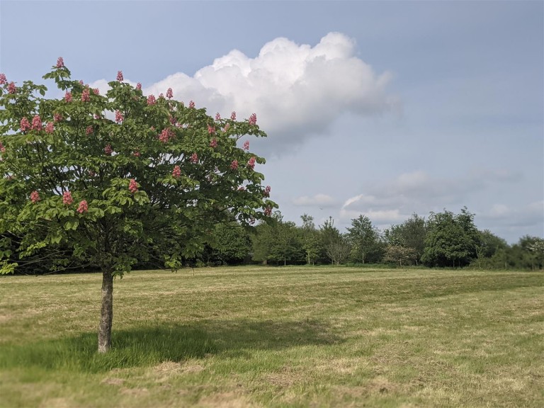 Images for Blackmoor, West Buckland, Wellington