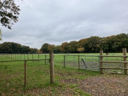 Images for Blackmoor, West Buckland, Wellington