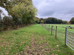 Images for Blackmoor, West Buckland, Wellington