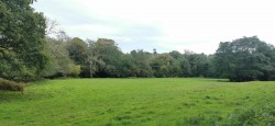 Images for 3.33 Acres with River Frontage/Fishing - Hoo Meavy
