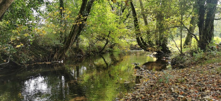 Images for 3.33 Acres with River Frontage/Fishing - Hoo Meavy