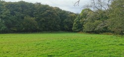 Images for 3.33 Acres with River Frontage/Fishing - Hoo Meavy