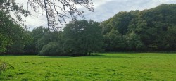 Images for 3.33 Acres with River Frontage/Fishing - Hoo Meavy