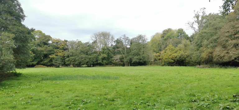 Images for 3.33 Acres with River Frontage/Fishing - Hoo Meavy