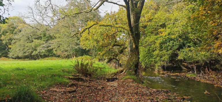 Images for 3.33 Acres with River Frontage/Fishing - Hoo Meavy