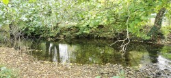 Images for 3.33 Acres with River Frontage/Fishing - Hoo Meavy