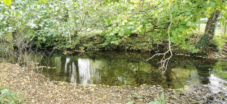 Images for 3.33 Acres with River Frontage/Fishing - Hoo Meavy