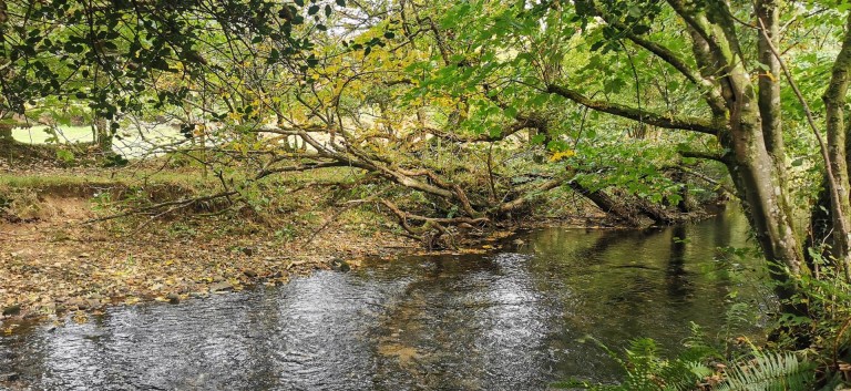 Images for 3.33 Acres with River Frontage/Fishing - Hoo Meavy