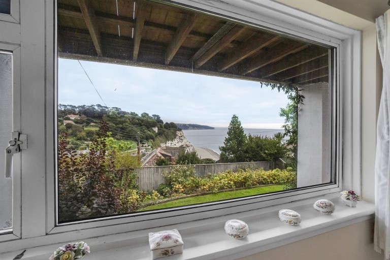 Images for Common Lane, Beer, Seaton