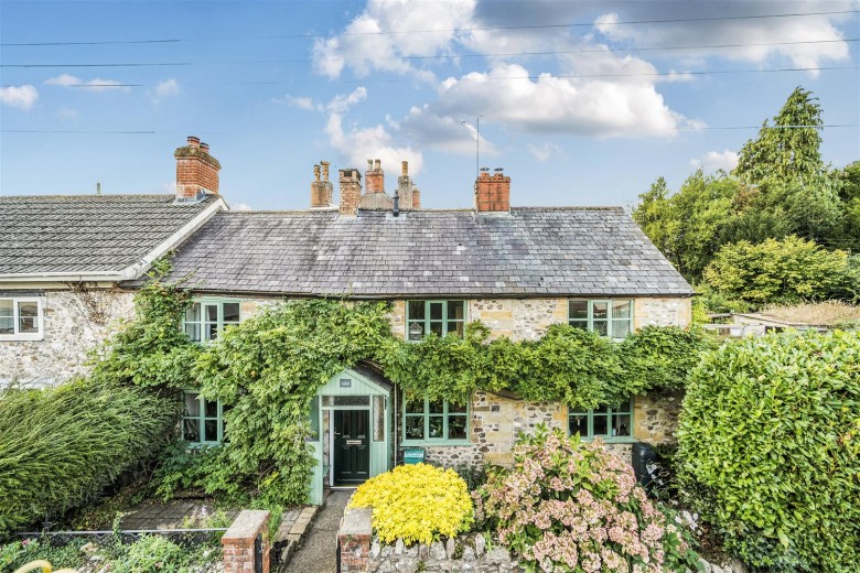 Click the photo for more details of South Chard