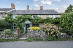 Images for South Chard