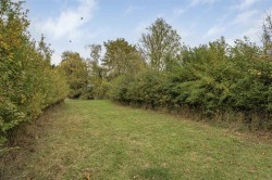 Images for Cantelupe Road, Haslingfield, Cambridge