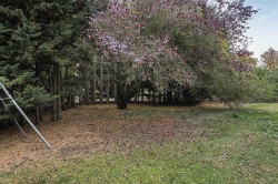 Images for Cantelupe Road, Haslingfield, Cambridge