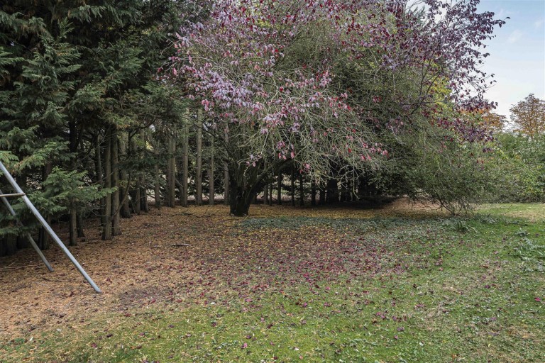 Images for Cantelupe Road, Haslingfield, Cambridge