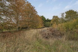 Images for Cantelupe Road, Haslingfield, Cambridge