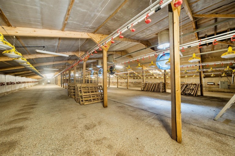 Images for Flaxfield Farm, Stuckton, New Forest