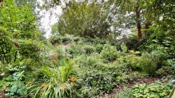 Images for Forehill, Ely