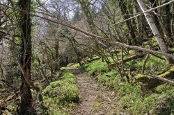 Images for Bovey Tracey, Newton Abbot