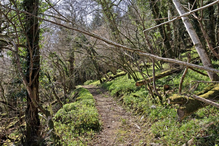 Images for Bovey Tracey, Newton Abbot