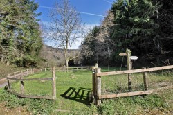 Images for Bovey Tracey, Newton Abbot