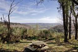 Images for Bovey Tracey, Newton Abbot