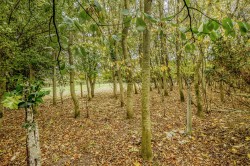 Images for Stoke Road, North Curry