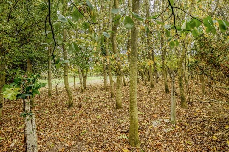 Images for Stoke Road, North Curry