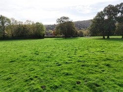 Images for Shillingstone, Blandford