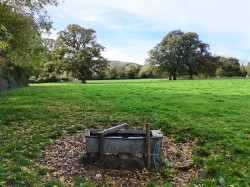 Images for Shillingstone, Blandford