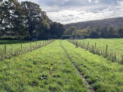 Images for Shillingstone, Blandford