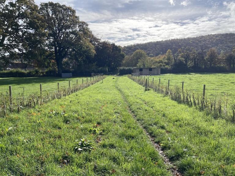 Images for Shillingstone, Blandford