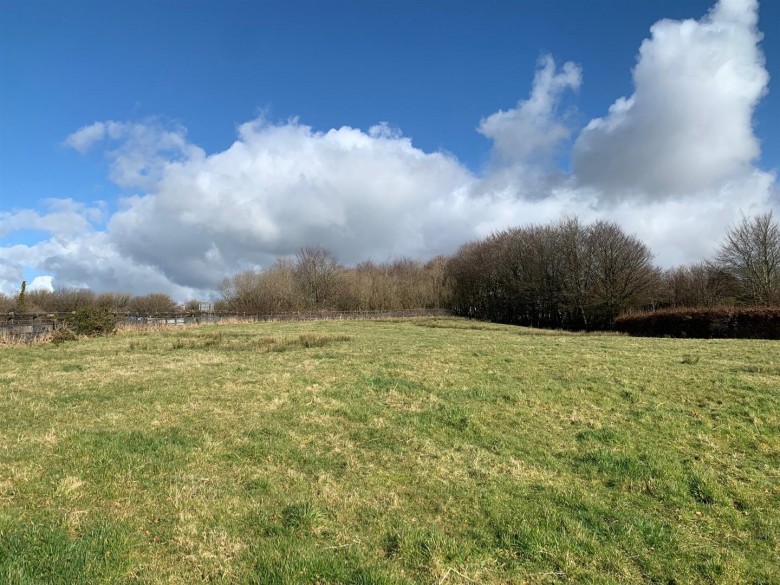 Click the photo for more details of Sourton Down