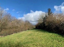 Images for Sourton Down