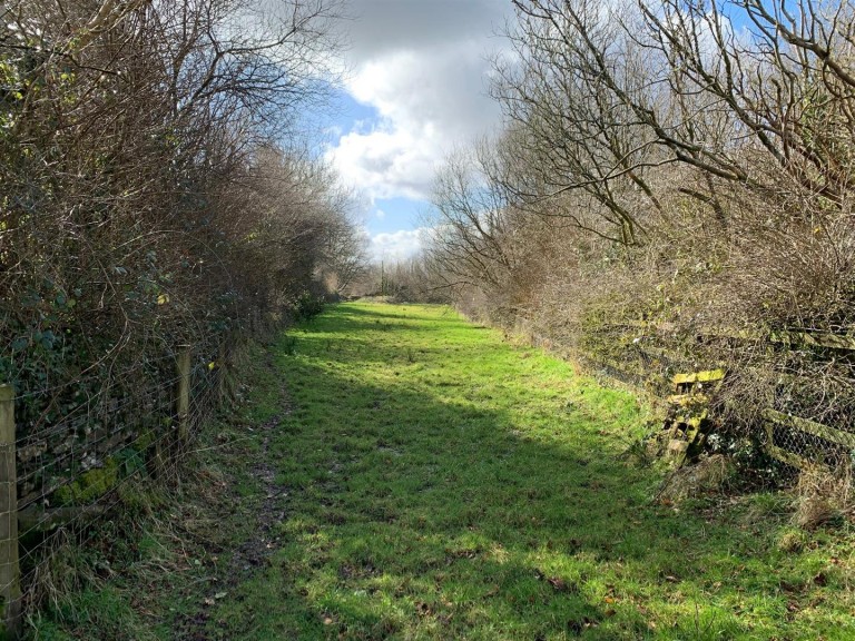 Images for Sourton Down