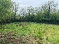 Images for Sourton Down