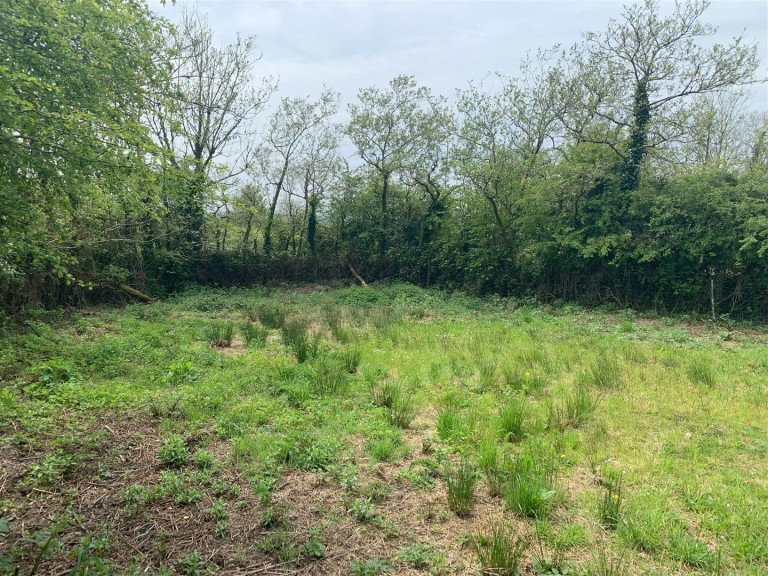 Images for Sourton Down