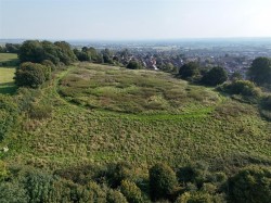 Images for Wincanton