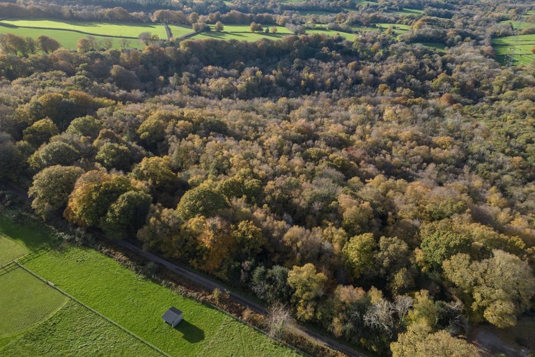 Images for Hawkchurch, Axminster